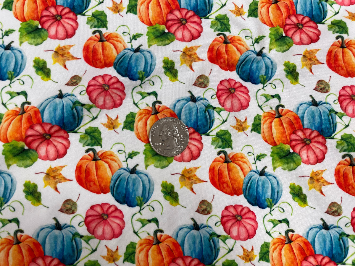 Fall Pumpkin Squash DBP Print #333 Double Brushed Polyester Spandex Apparel Stretch Fabric 190 GSM 58"-60" Wide By The Yard