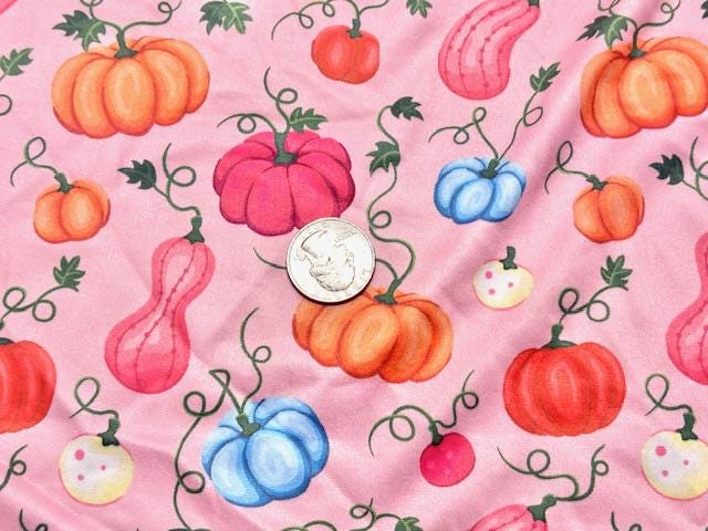 Pink Pumpkins DBP Print #1088 Double Brushed Polyester Spandex Apparel Stretch Fabric 190 GSM 58"-60" Wide By The Yard