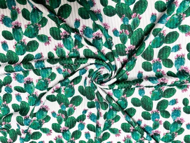 cactus succulent fabric Succulent Cacti Cactus 4x2 Rib Knit Print #156 Polyester Spandex Stret – Fabrics Universe