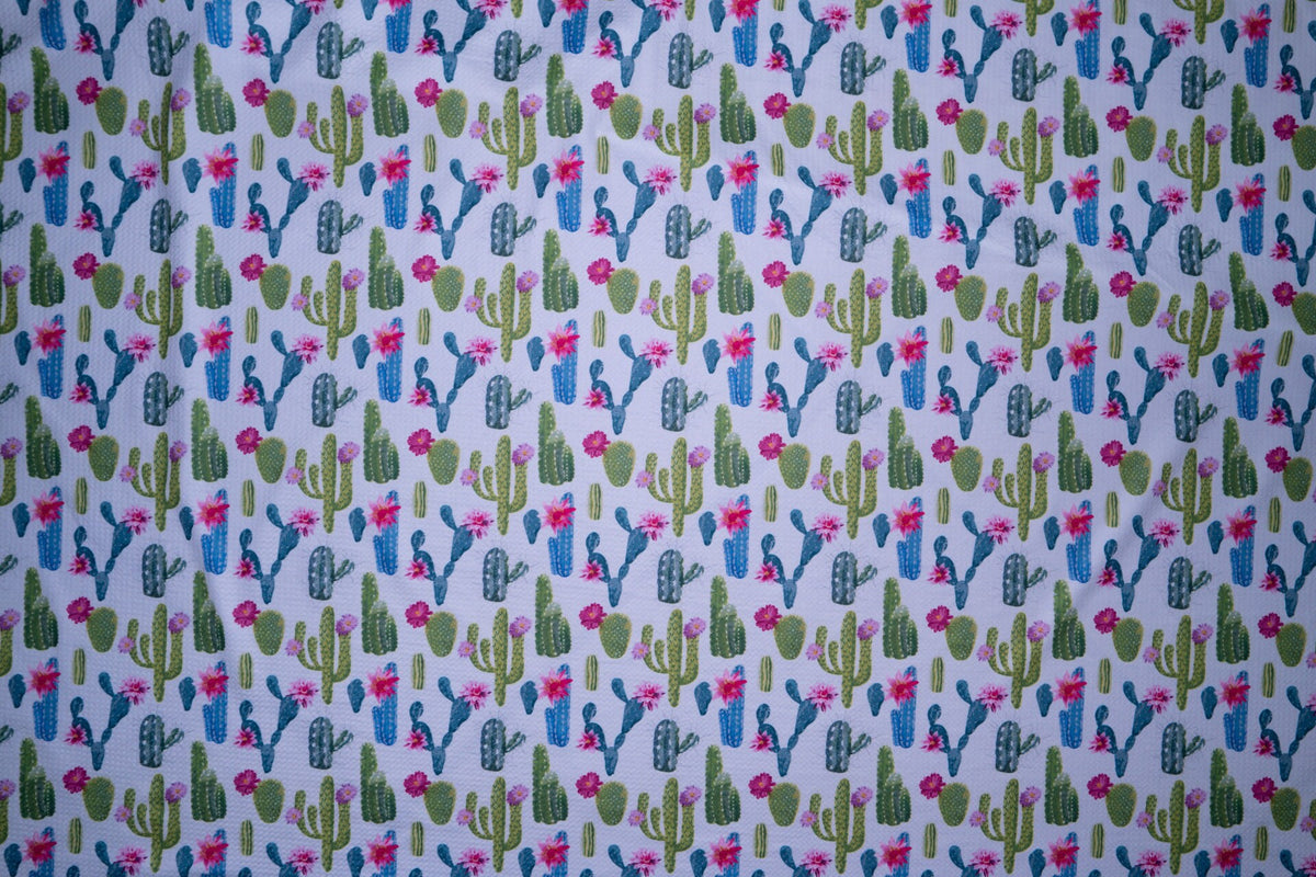 Cactus Succulent Bullet Print #43 Ribbed Scuba Techno Double Knit 2-Way Stretch Polyester Spandex Apparel Craft Fabric 58"-60" Wide BTY