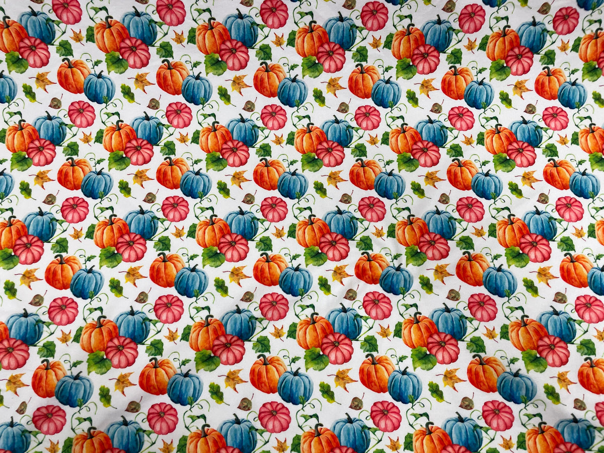 Fall Pumpkin Squash DBP Print #333 Double Brushed Polyester Spandex Apparel Stretch Fabric 190 GSM 58"-60" Wide By The Yard