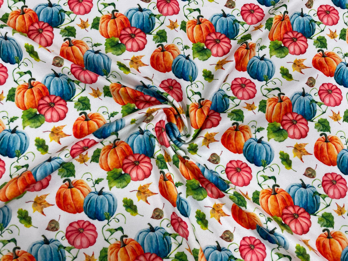 Fall Pumpkin Squash DBP Print #333 Double Brushed Polyester Spandex Apparel Stretch Fabric 190 GSM 58"-60" Wide By The Yard