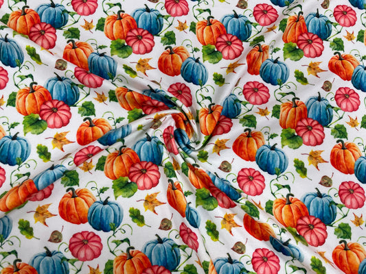 Fall Pumpkin Squash DBP Print #333 Double Brushed Polyester Spandex Apparel Stretch Fabric 190 GSM 58"-60" Wide By The Yard