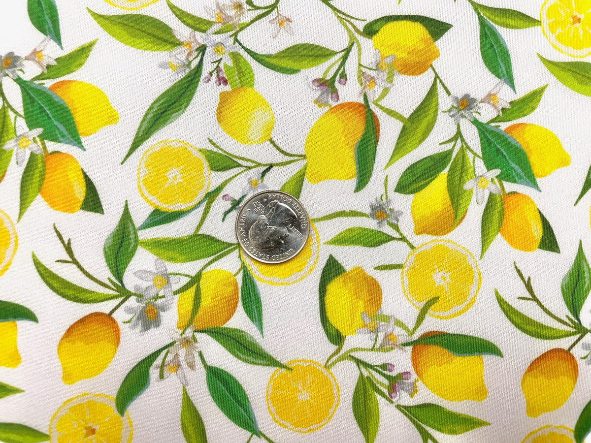 Lemons Super Scuba Techno Print #51 Double Knit 2-Way Stretch Fabric Poly Spandex Apparel Craft Fabric 58"-60" Wide By The Yard