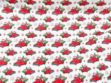 Load image into Gallery viewer, il_fullxfull.4243725399_72i5
