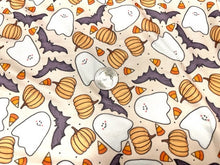 Load image into Gallery viewer, il_fullxfull.5102373340_3yai